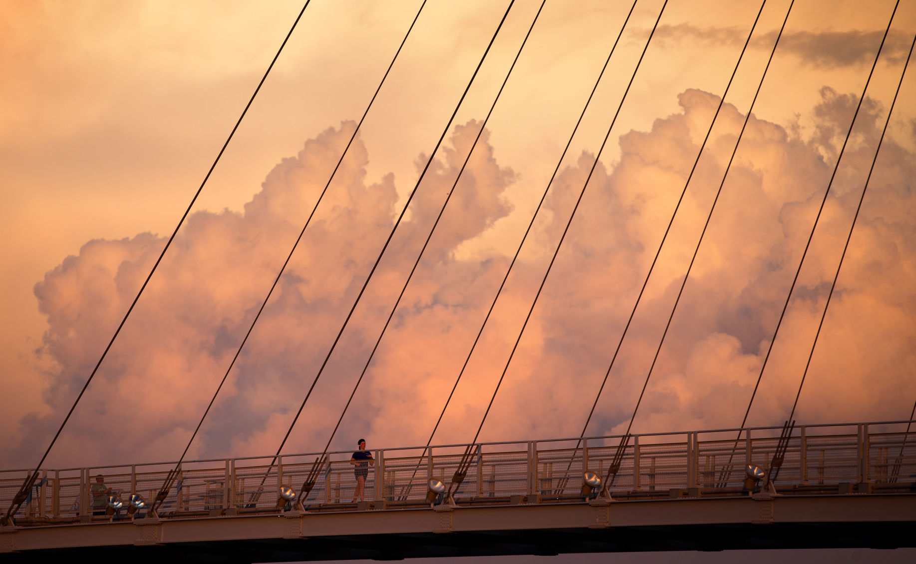2014 - bridge